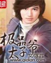 极品太子爷作者浮沉